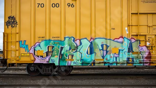 UP700096