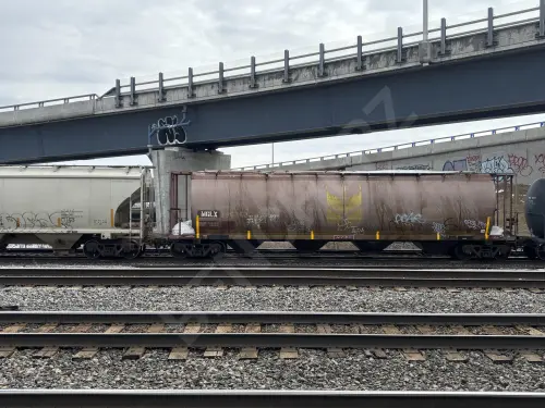 Train photo