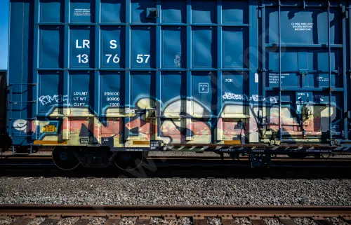 LRS137657