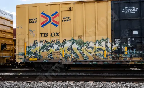 TBOX665652