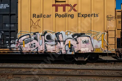 TBOX663559