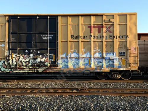 FBOX506255
