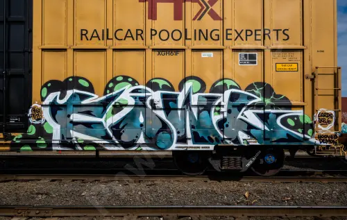 TBOX636296