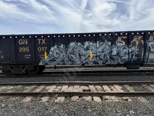 GNTX295017
