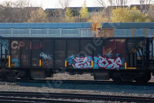 CP456281