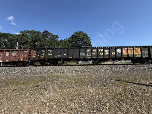 GNTX295544