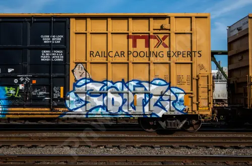 FBOX506850