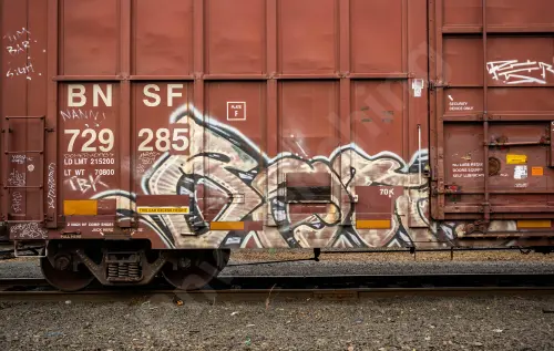 BNSF729285