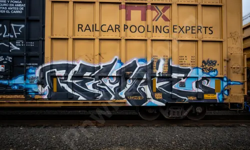 TBOX640133