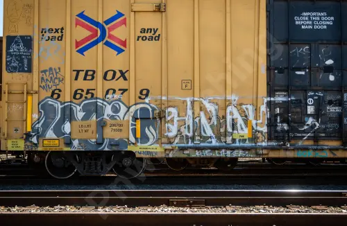 TBOX665079