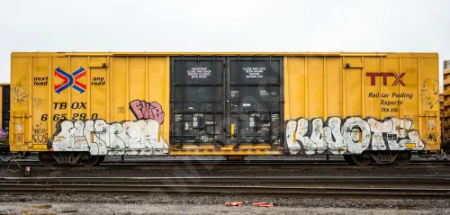 TBOX665290