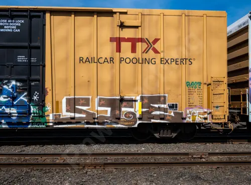 TBOX668321