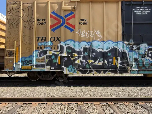 TBOX667971