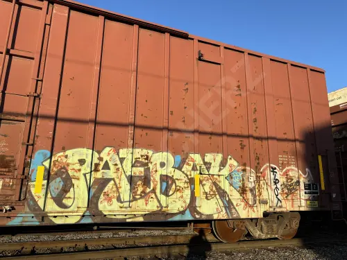 TR18209