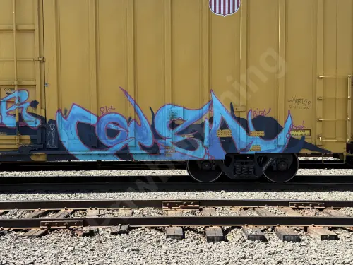 UP701679
