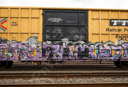 FBOX504728