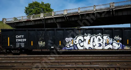 CHTT214239