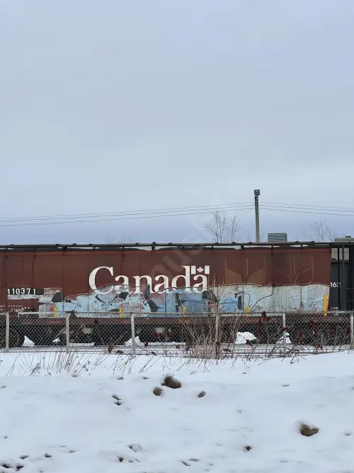 Train photo