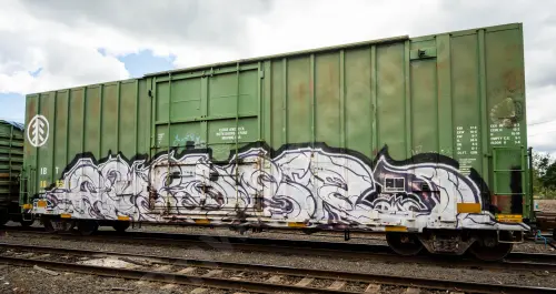 IBT18631