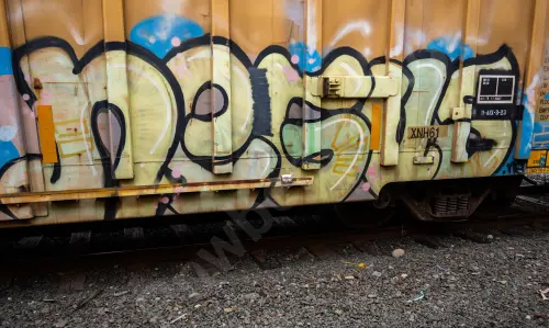 TBOX667299