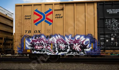 TBOX662775