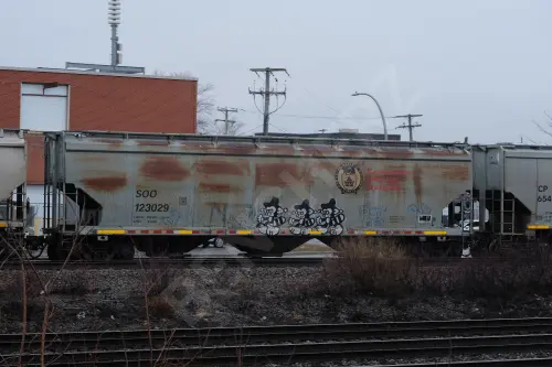 SOO123029