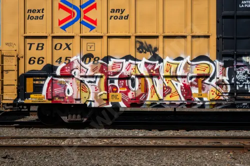 TBOX664508