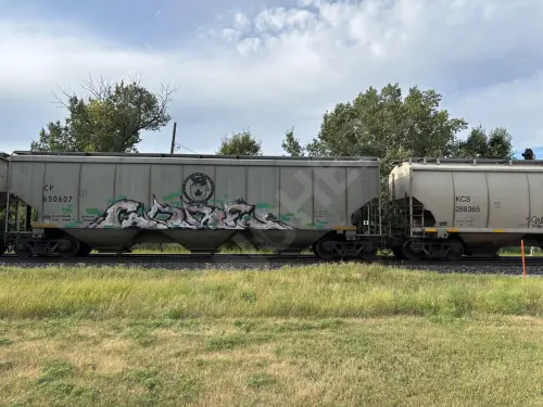 CP650607