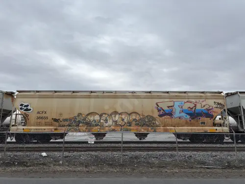 Train photo