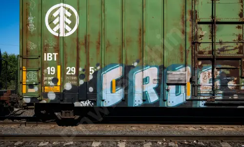 IBT19295