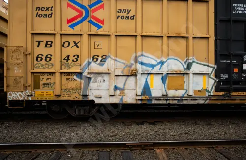 TBOX664362