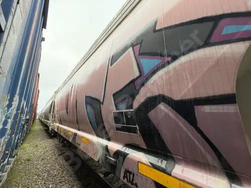 CEFX303511