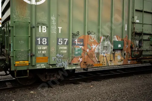 IBT18571