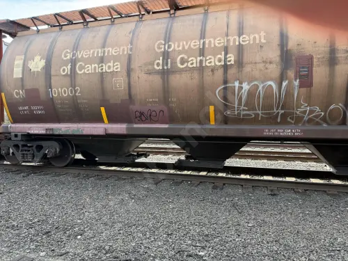 CN101002
