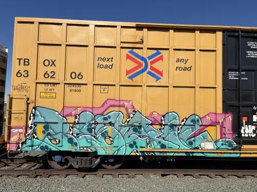TBOX636206