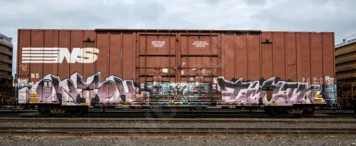 NS469566