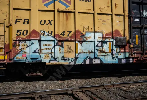 FBOX504947