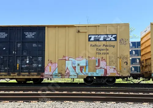 TBOX665187