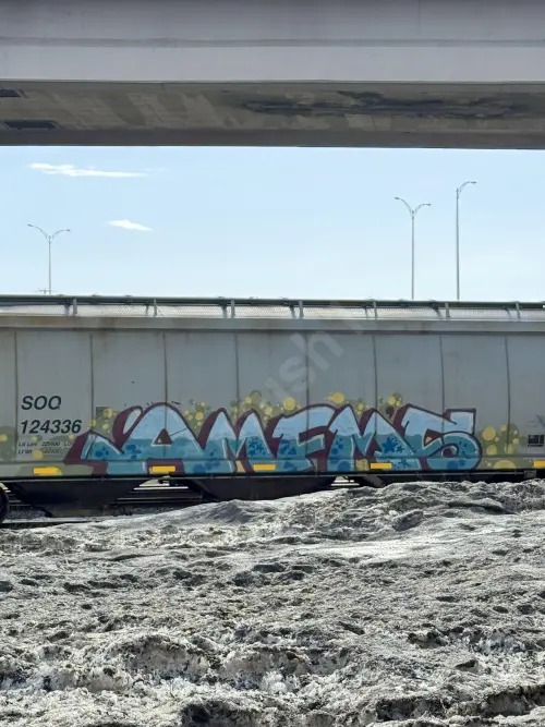 Train photo