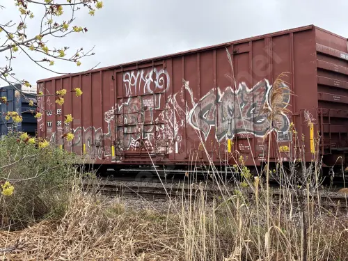 Train photo