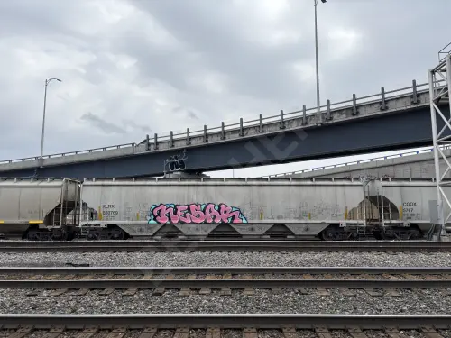 Train photo