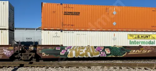 BNSF255193