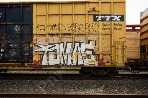 FBOX504009
