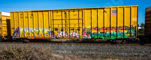UP700937