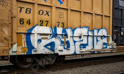 TBOX642773