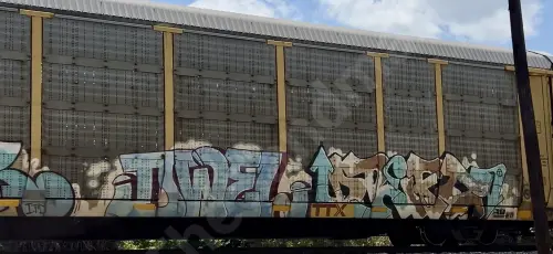 TTGX981988