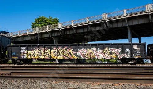 SMIX660784