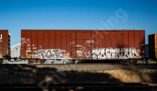 AOK113073