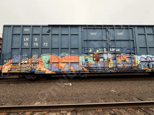 LRS137872
