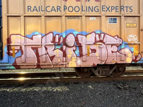 TBOX633277